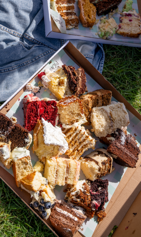 Assortment of cake slices in an open box on grass at a picnic, with various flavors and textures visible.