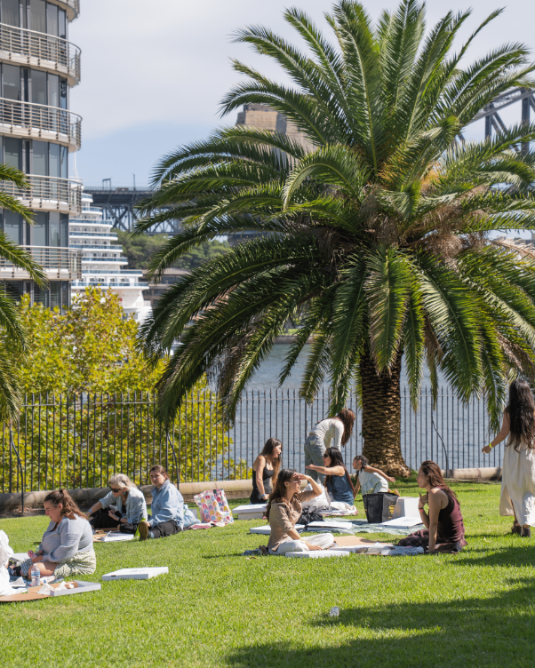 Group of people enjoying a sunny picnic on a grassy lawn under a large palm tree, with water and a bridge in the background.
