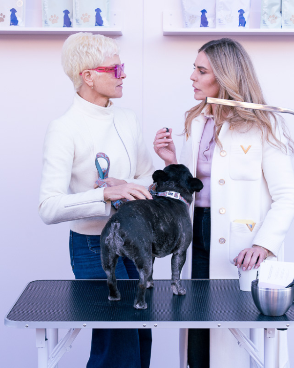 Two women in a clinical setting discuss a small black dog on a grooming table, with dog supplies on shelves behind them.