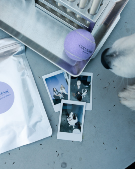 Top-down lab desk with collagen packaging, a purple collagen ball, test tubes, and Polaroid photos of people and a dog