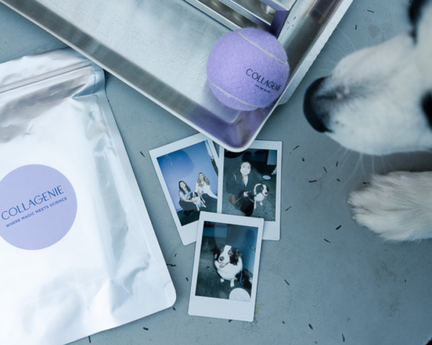 Top-down lab desk with collagen packaging, a purple collagen ball, test tubes, and Polaroid photos of people and a dog