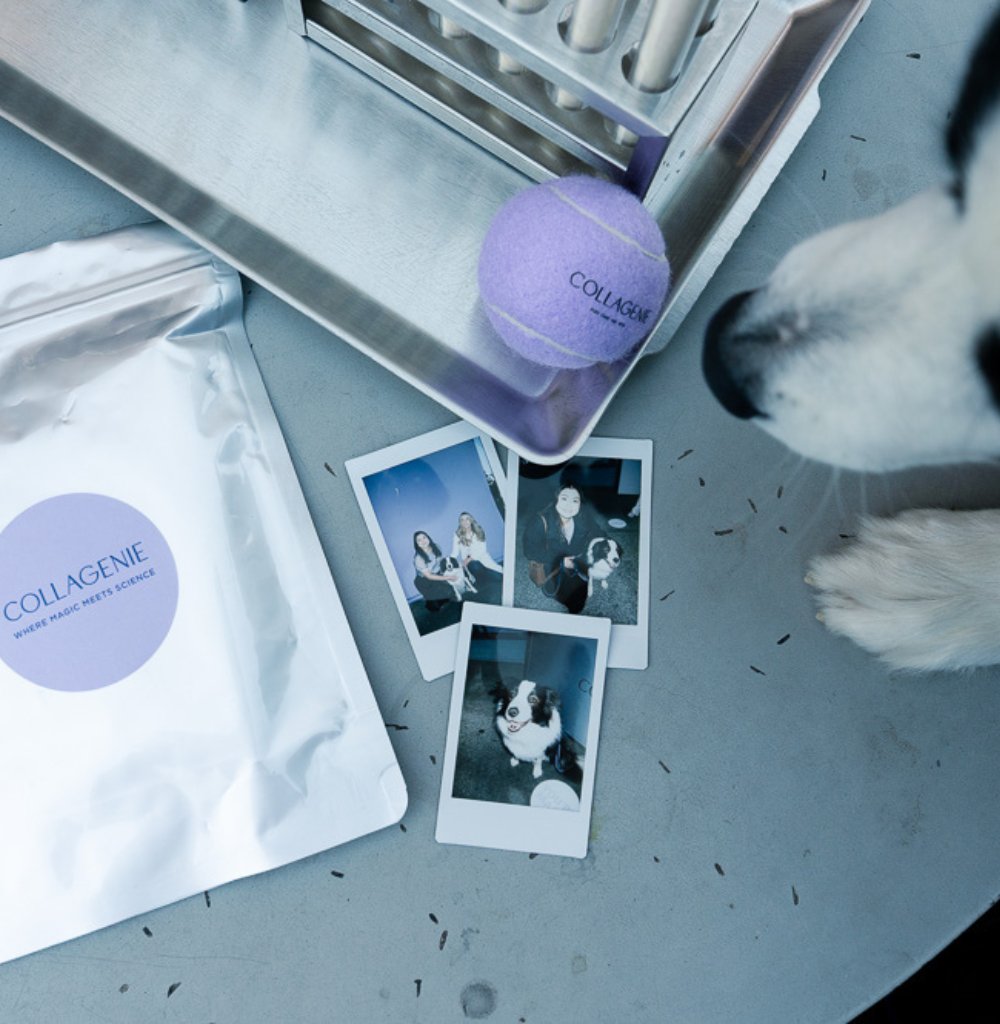 Top-down lab desk with collagen packaging, a purple collagen ball, test tubes, and Polaroid photos of people and a dog